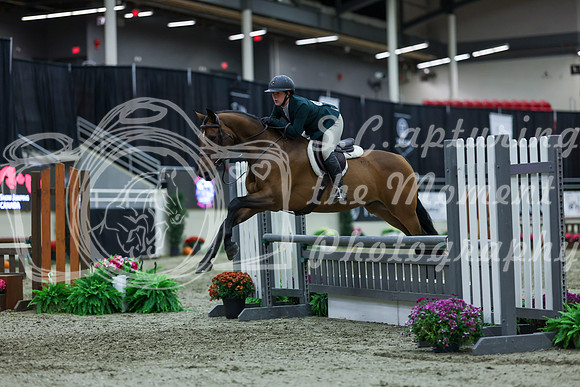 2025 - Shea - Royal West - Saturday October 18th - 02863