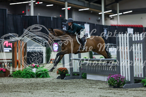 2025 - Shea - Royal West - Saturday October 18th - 02864