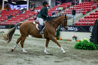 2025 - Shea - Royal West - Saturday October 18th - 02946
