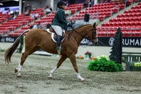 2025 - Shea - Royal West - Saturday October 18th - 02949