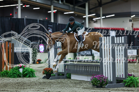 2025 - Shea - Royal West - Saturday October 18th - 02965