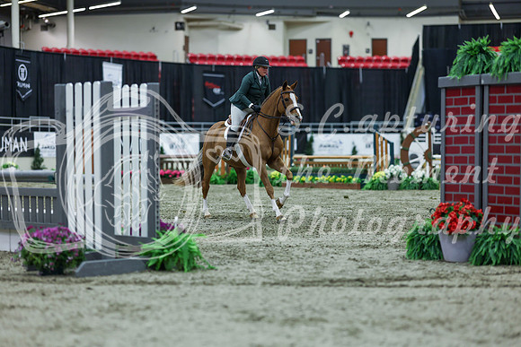 2025 - Shea - Royal West - Saturday October 18th - 03042