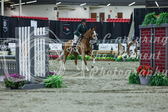 2025 - Shea - Royal West - Saturday October 18th - 03043