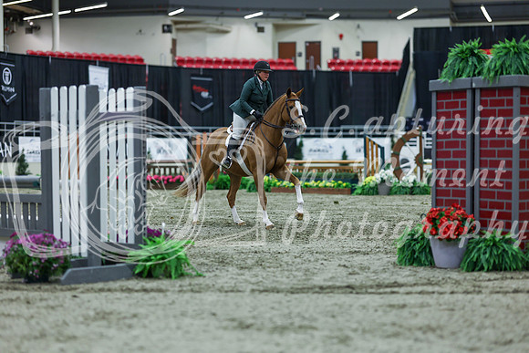 2025 - Shea - Royal West - Saturday October 18th - 03044