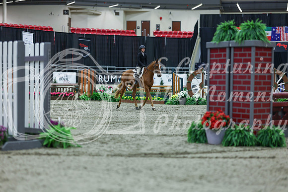 2025 - Shea - Royal West - Saturday October 18th - 01885