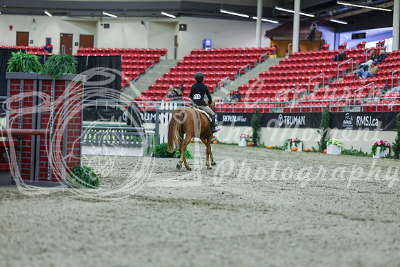 2025 - Shea - Royal West - Saturday October 18th - 01888