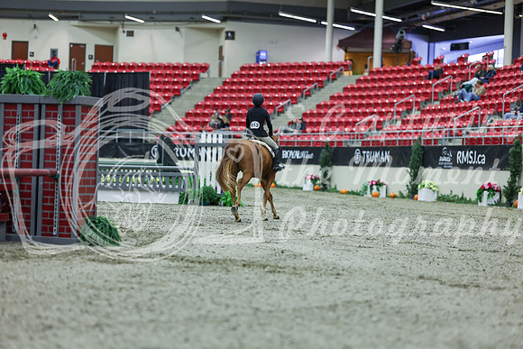2025 - Shea - Royal West - Saturday October 18th - 01890
