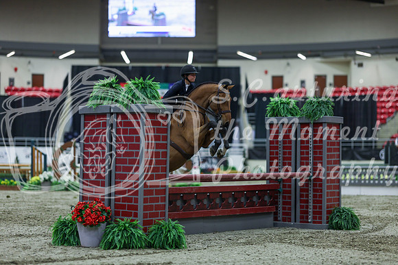 2025 - Shea - Royal West - Saturday October 18th - 02454