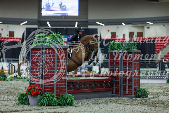 2025 - Shea - Royal West - Saturday October 18th - 02455