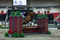 2025 - Shea - Royal West - Saturday October 18th - 02456