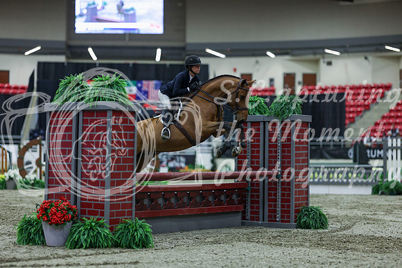 2025 - Shea - Royal West - Saturday October 18th - 02458