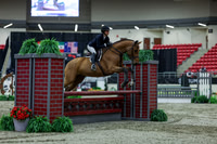 2025 - Shea - Royal West - Saturday October 18th - 02460