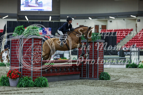 2025 - Shea - Royal West - Saturday October 18th - 02460