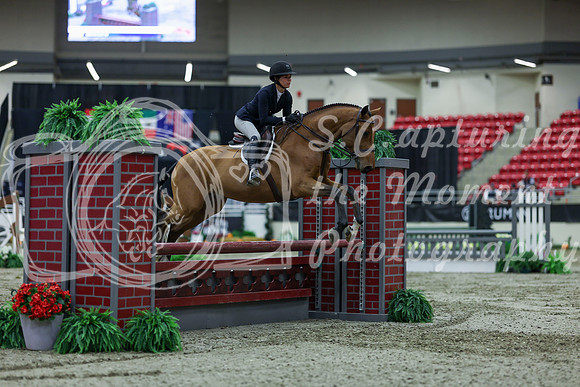 2025 - Shea - Royal West - Saturday October 18th - 02461