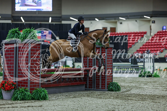 2025 - Shea - Royal West - Saturday October 18th - 02462