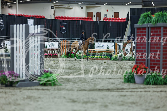 2025 - Shea - Royal West - Saturday October 18th - 02497