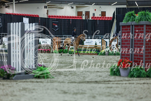 2025 - Shea - Royal West - Saturday October 18th - 02499