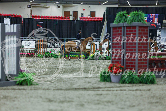 2025 - Shea - Royal West - Saturday October 18th - 02500