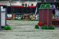 2025 - Shea - Royal West - Saturday October 18th - 02502