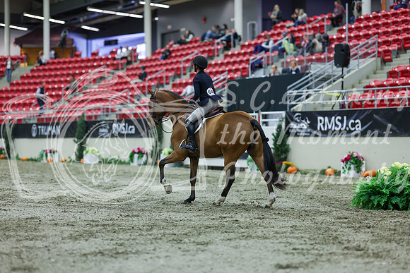 2025 - Shea - Royal West - Saturday October 18th - 02503