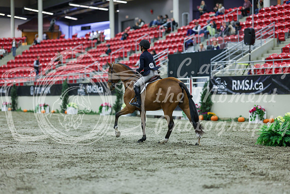 2025 - Shea - Royal West - Saturday October 18th - 02504