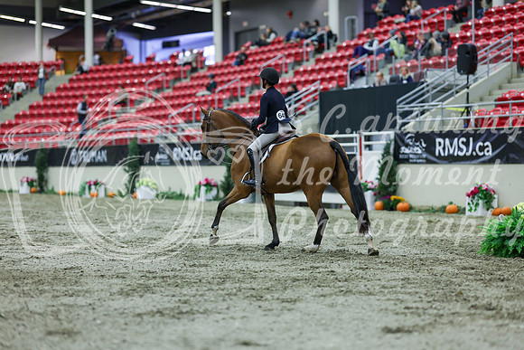 2025 - Shea - Royal West - Saturday October 18th - 02505