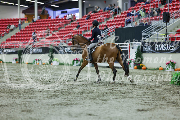 2025 - Shea - Royal West - Saturday October 18th - 02506