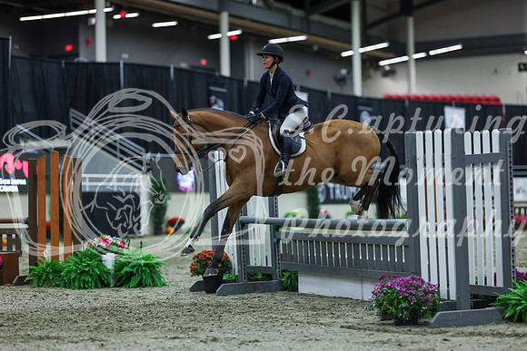 2025 - Shea - Royal West - Saturday October 18th - 02513