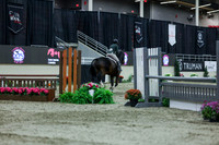 2025 - Shea - Royal West - Saturday October 18th - 02678
