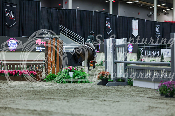 2025 - Shea - Royal West - Saturday October 18th - 02679