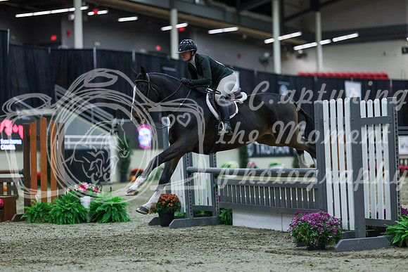 2025 - Shea - Royal West - Saturday October 18th - 02684