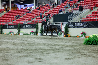 2025 - Shea - Royal West - Saturday October 18th - 02685