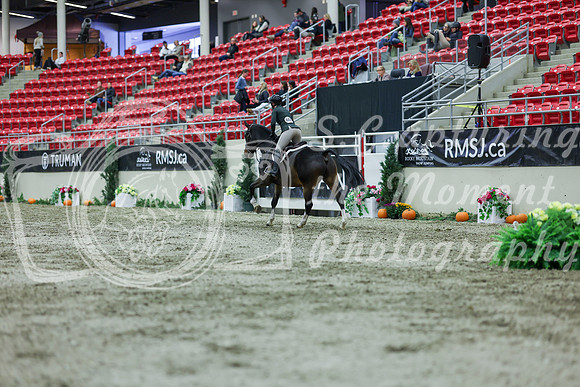 2025 - Shea - Royal West - Saturday October 18th - 02685