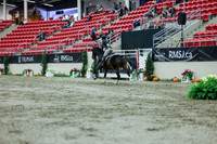 2025 - Shea - Royal West - Saturday October 18th - 02686