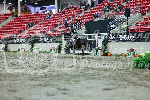 2025 - Shea - Royal West - Saturday October 18th - 02687