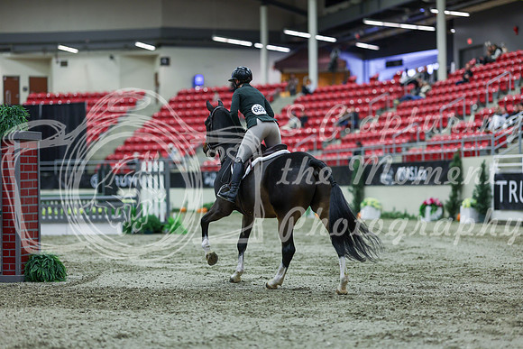 2025 - Shea - Royal West - Saturday October 18th - 02739