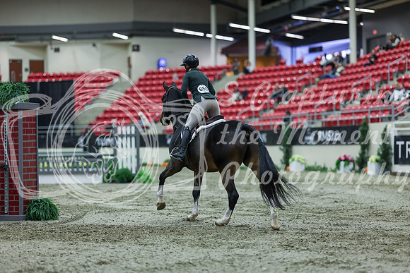 2025 - Shea - Royal West - Saturday October 18th - 02740