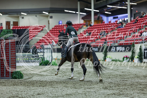 2025 - Shea - Royal West - Saturday October 18th - 02741