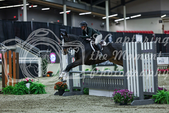 2025 - Shea - Royal West - Saturday October 18th - 02748