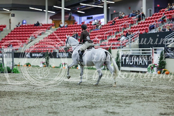 2025 - Shea - Royal West - Saturday October 18th - 02620