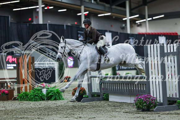2025 - Shea - Royal West - Saturday October 18th - 02628