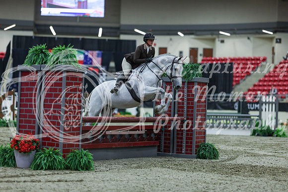 2025 - Shea - Royal West - Saturday October 18th - 02632