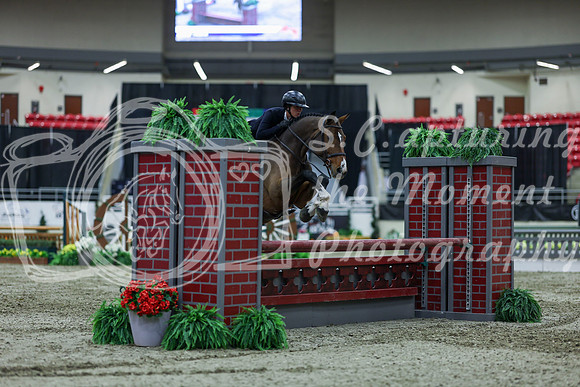 2025 - Shea - Royal West - Saturday October 18th - 02640