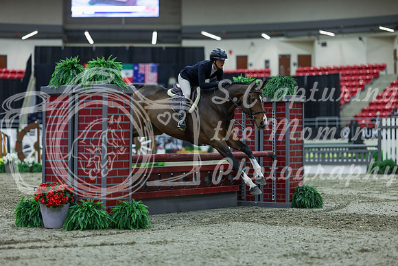 2025 - Shea - Royal West - Saturday October 18th - 02646
