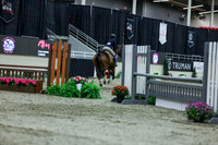2025 - Shea - Royal West - Saturday October 18th - 02648