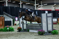2025 - Shea - Royal West - Saturday October 18th - 02654