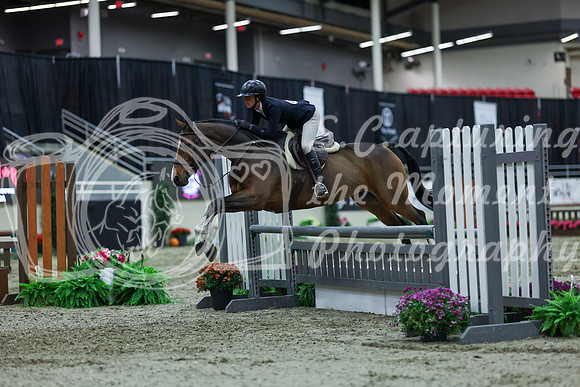 2025 - Shea - Royal West - Saturday October 18th - 02656