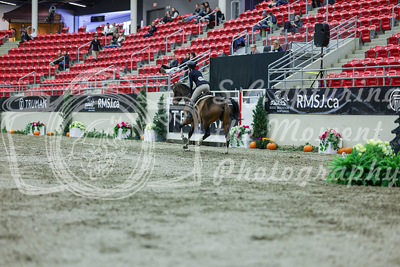 2025 - Shea - Royal West - Saturday October 18th - 02657