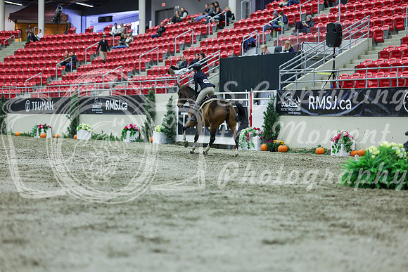 2025 - Shea - Royal West - Saturday October 18th - 02658