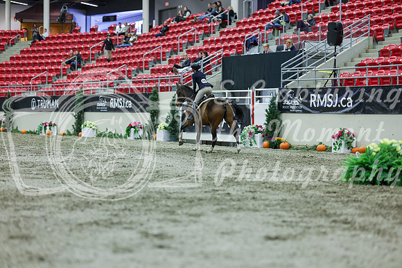 2025 - Shea - Royal West - Saturday October 18th - 02659